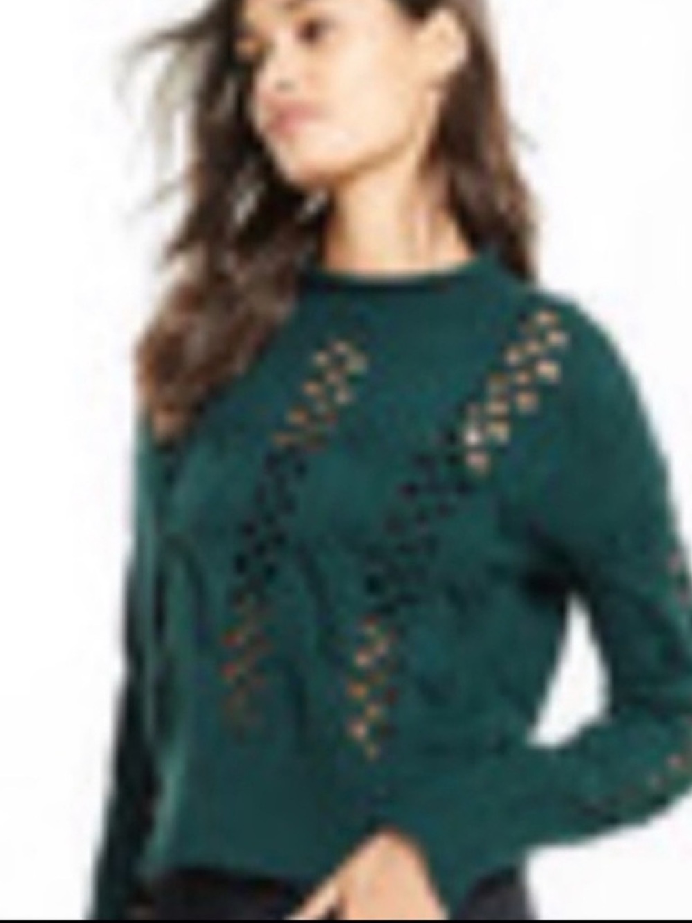 NWT Crochet Cableknit Crop Sweater